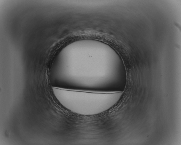 X0000097751493200803070830