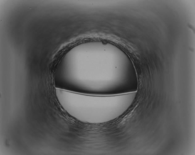 X0000097751494200803070830