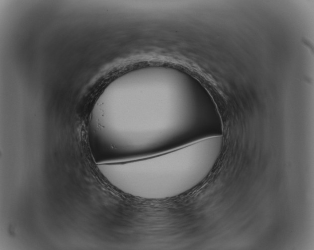 X0000097751495200803070830