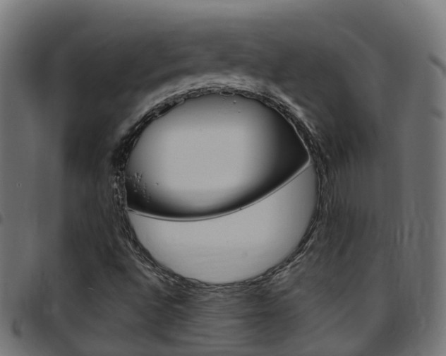 X0000097751496200803070830