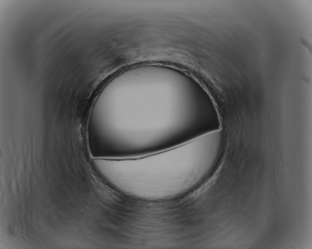 X0000097751497200803070830