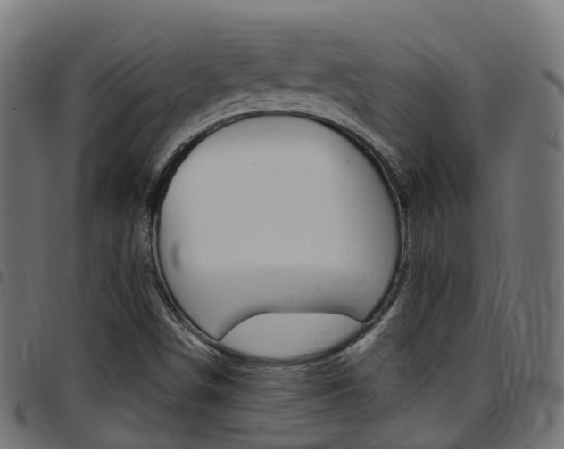X0000097751498200803070830