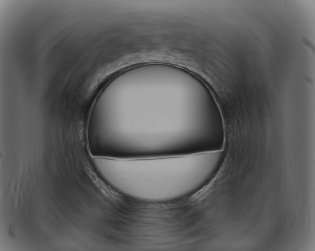 X0000097751499200803070830