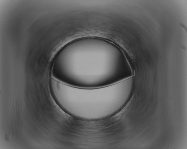 X0000097751500200803070830