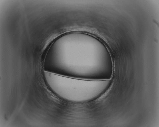 X0000097751501200803070830