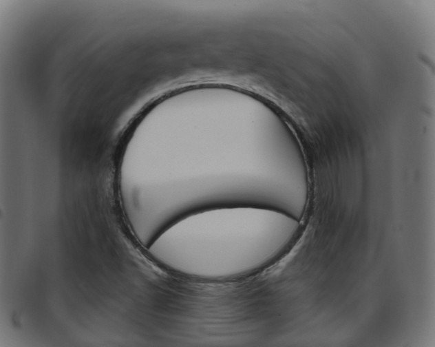 X0000097751502200803070830