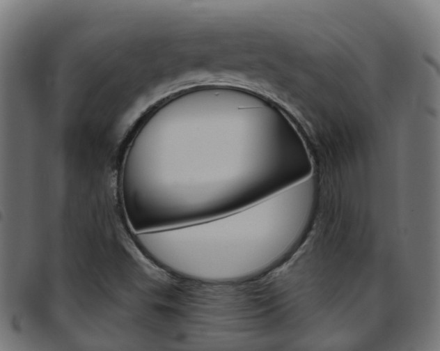 X0000097751503200803070830