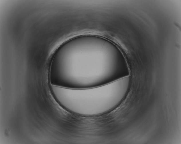 X0000097751504200803070830