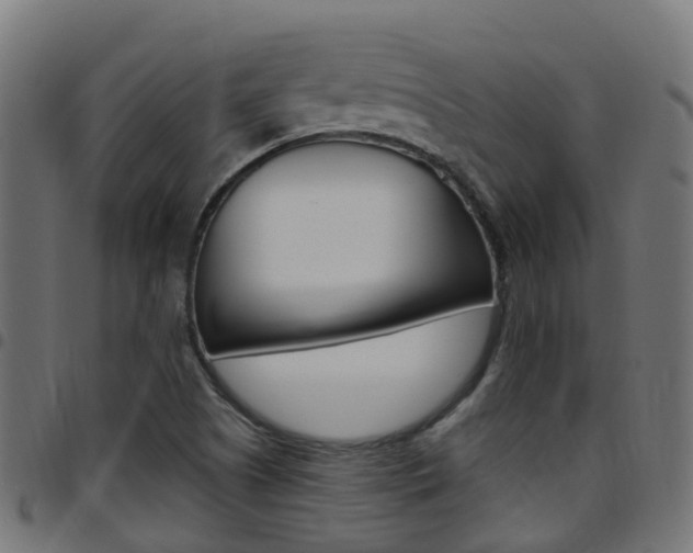 X0000097751505200803070830