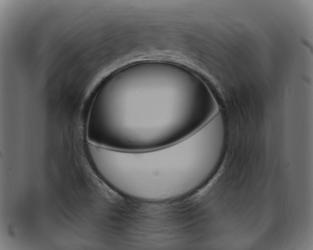 X0000097751506200803070830