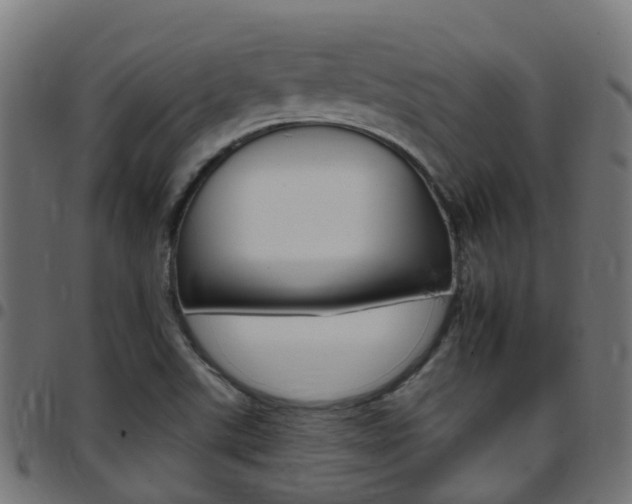 X0000097751507200803070830