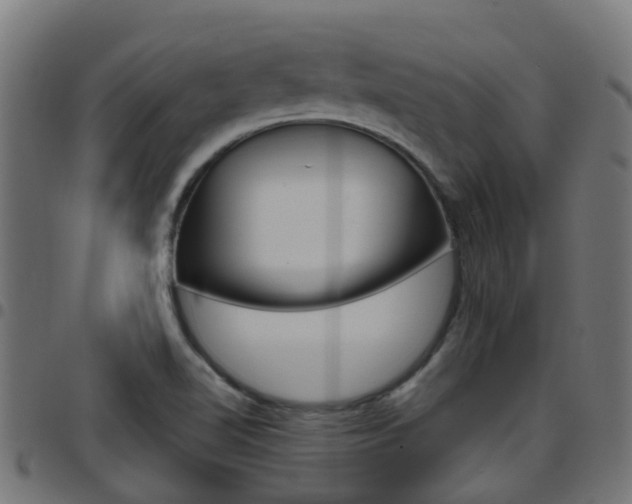 X0000097751510200803070830