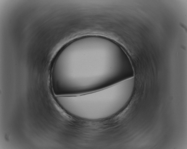 X0000097751511200803070830
