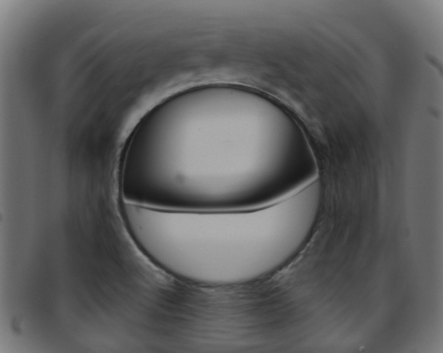X0000097751512200803070830