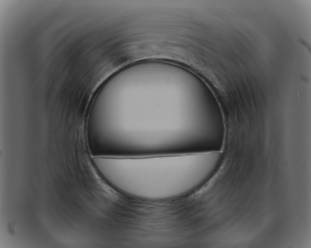 X0000097751513200803070830