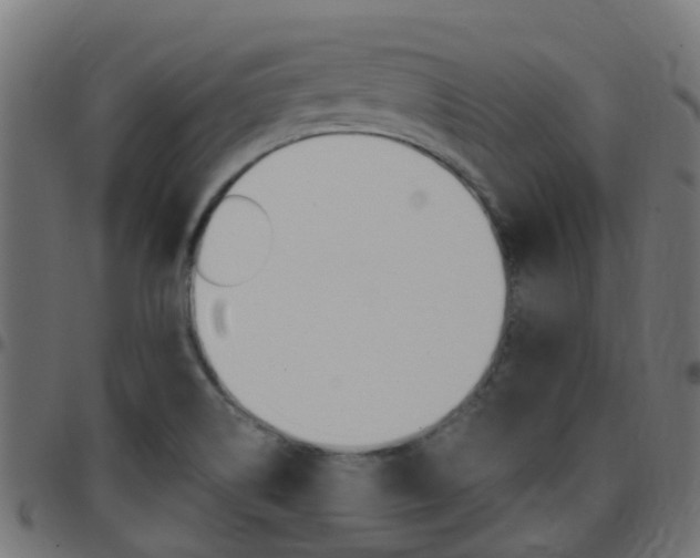 X0000097751514200803070830