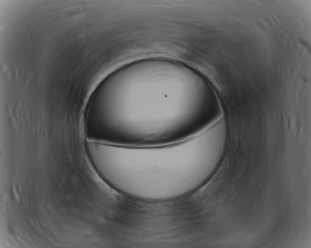 X0000097751516200803070830