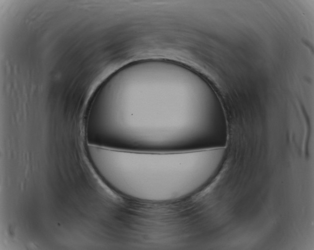 X0000097751517200803070830