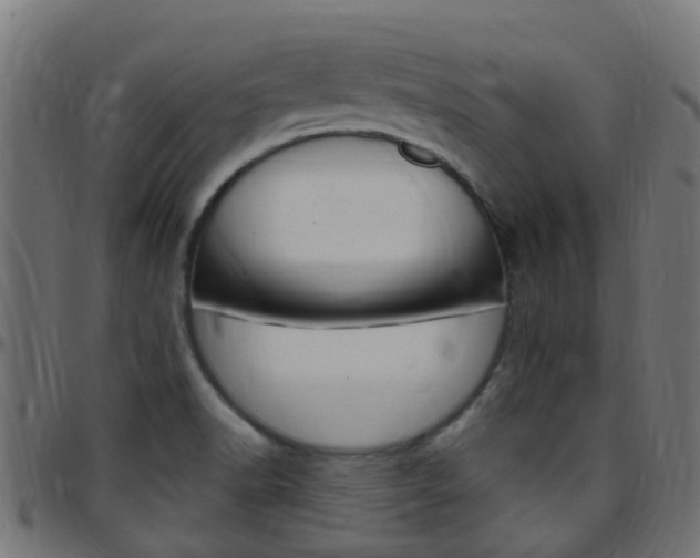 X0000097751518200803070830