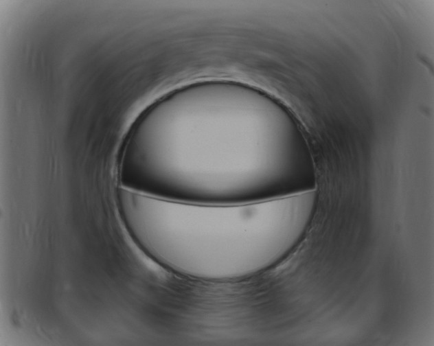 X0000097751519200803070830