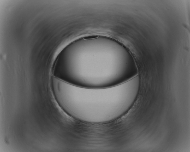 X0000097751520200803070830