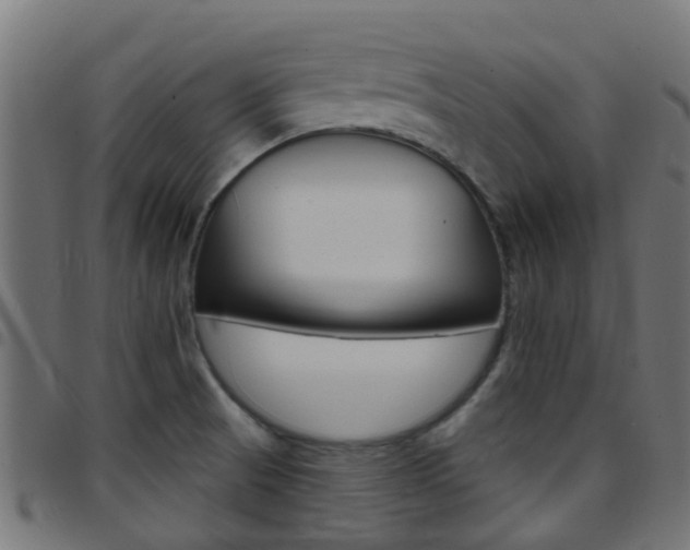 X0000097751521200803070830