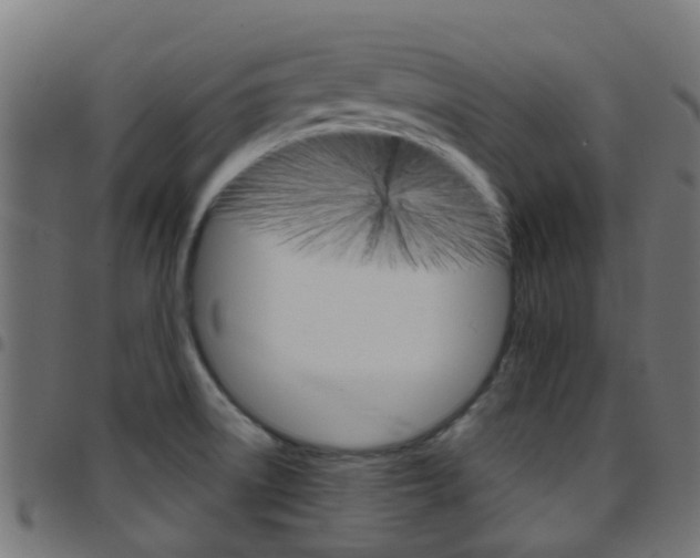 X0000097751522200803070830