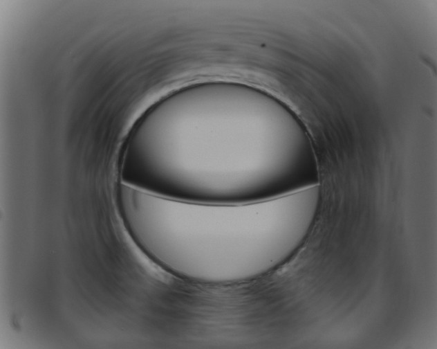 X0000097751523200803070830