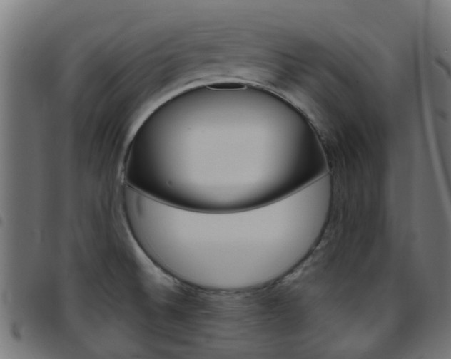 X0000097751524200803070830