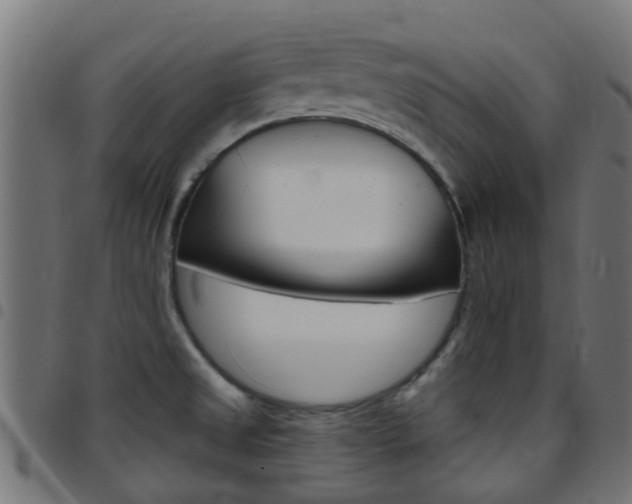 X0000097751525200803070830