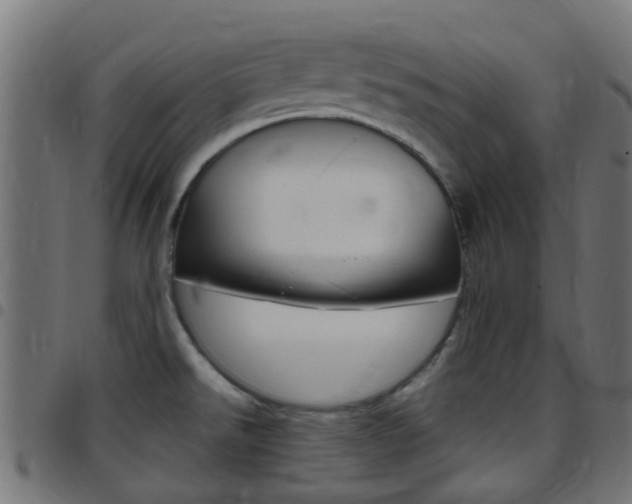 X0000097751526200803070830