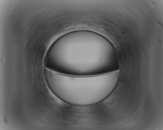 X0000097751527200803070830