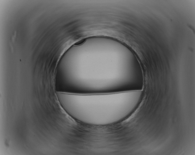 X0000097751529200803070830