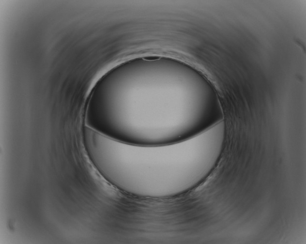 X0000097751530200803070830