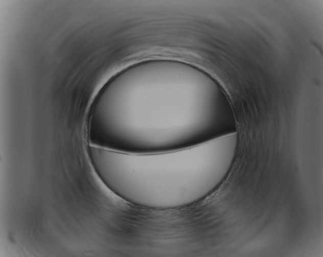 X0000097751531200803070830
