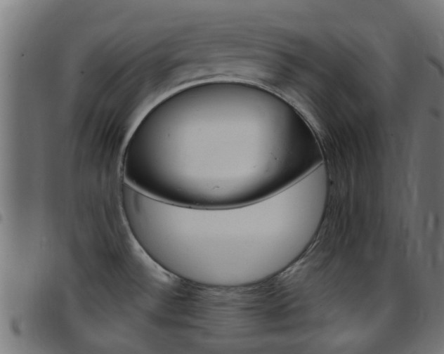 X0000097751532200803070830