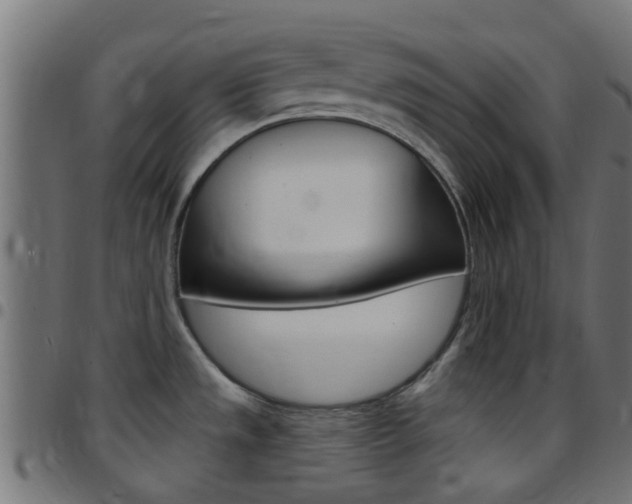 X0000097751533200803070830