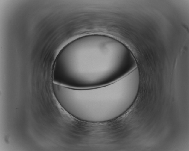 X0000097751534200803070830