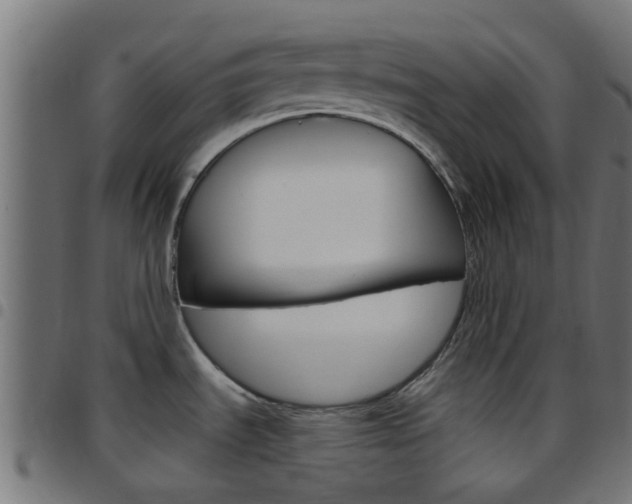 X0000097751535200803070830