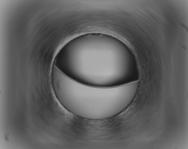 X0000097751536200803070830