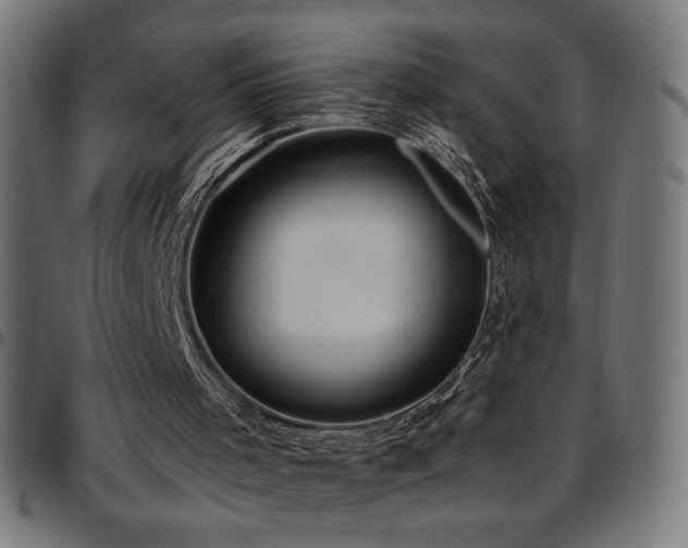 X0000097750001200803071259