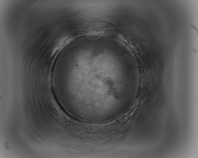 X0000097750002200803071259