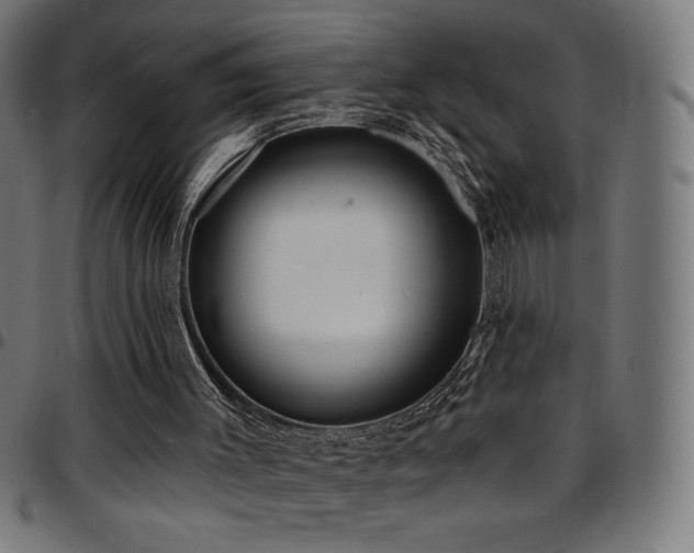 X0000097750003200803071259