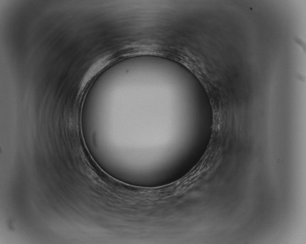 X0000097750004200803071259