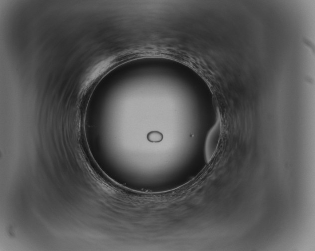 X0000097750005200803071259