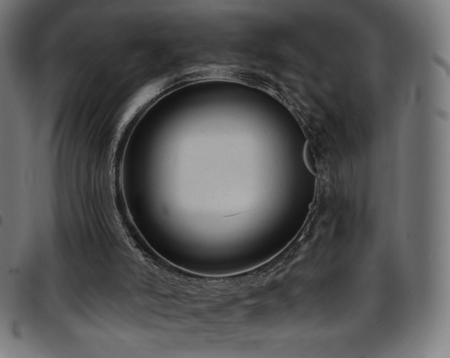 X0000097750006200803071259