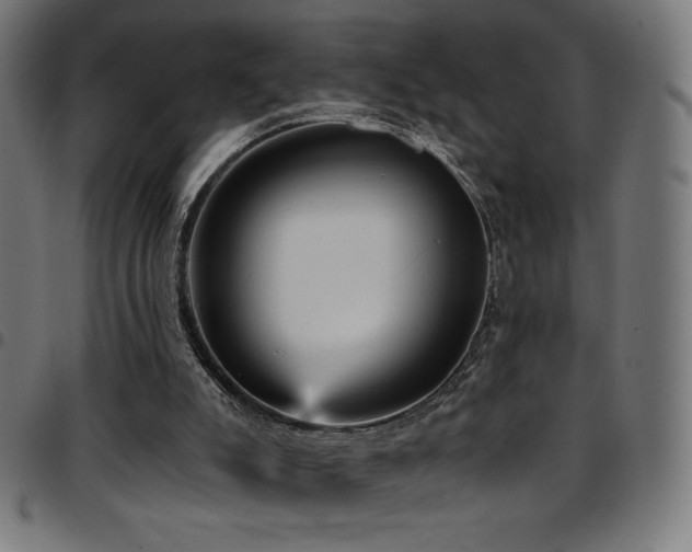 X0000097750007200803071259