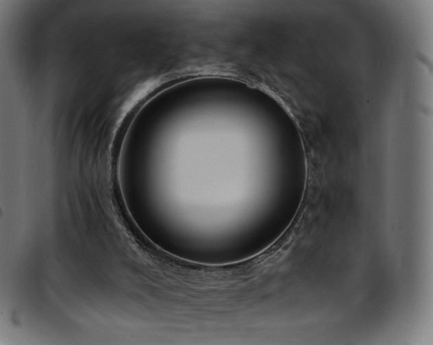 X0000097750008200803071259