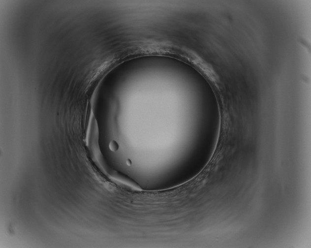 X0000097750009200803071259