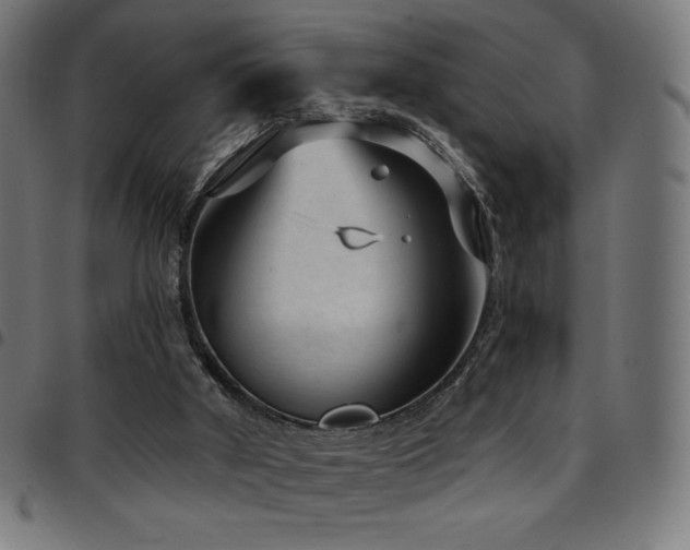 X0000097750010200803071259